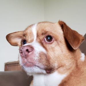 Meet your Posher, Candace